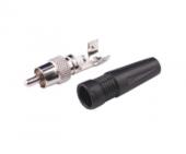 LAZSO APR012 - LAZSO APR012